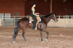 Figure 10: Horse with incorrect frame;
the head is too high and the mouth is
open in resistance to the rider?s cues.